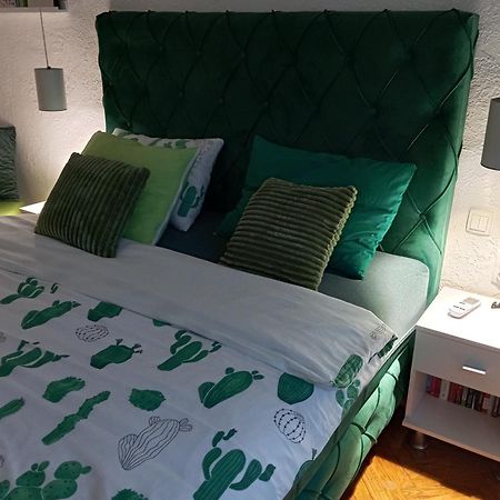 Green Cactus Rooms - Unique And Cozy House Senta Zewnętrze zdjęcie