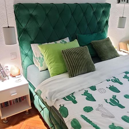 Green Cactus Rooms - Unique And Cozy House Senta Zewnętrze zdjęcie