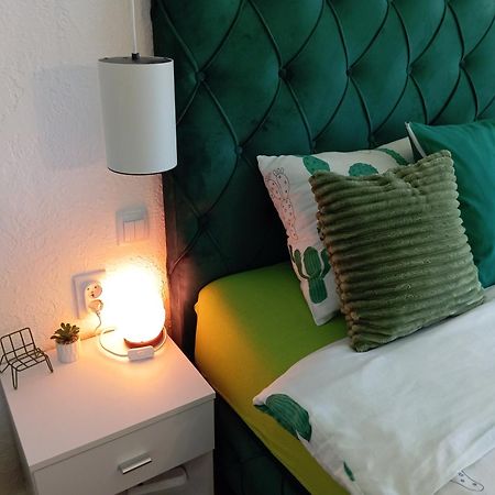 Green Cactus Rooms - Unique And Cozy House Senta Zewnętrze zdjęcie