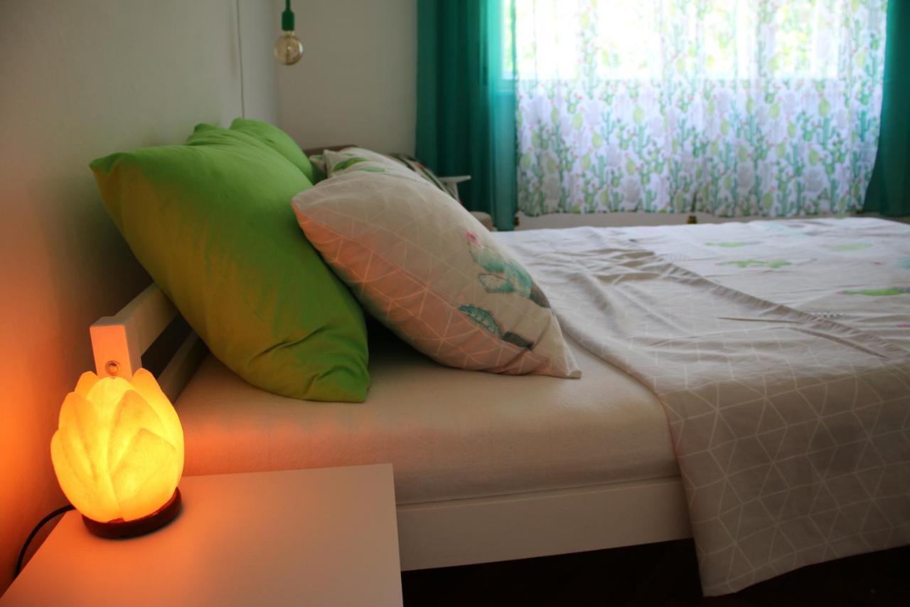 Green Cactus Rooms - Unique And Cozy House Senta Zewnętrze zdjęcie