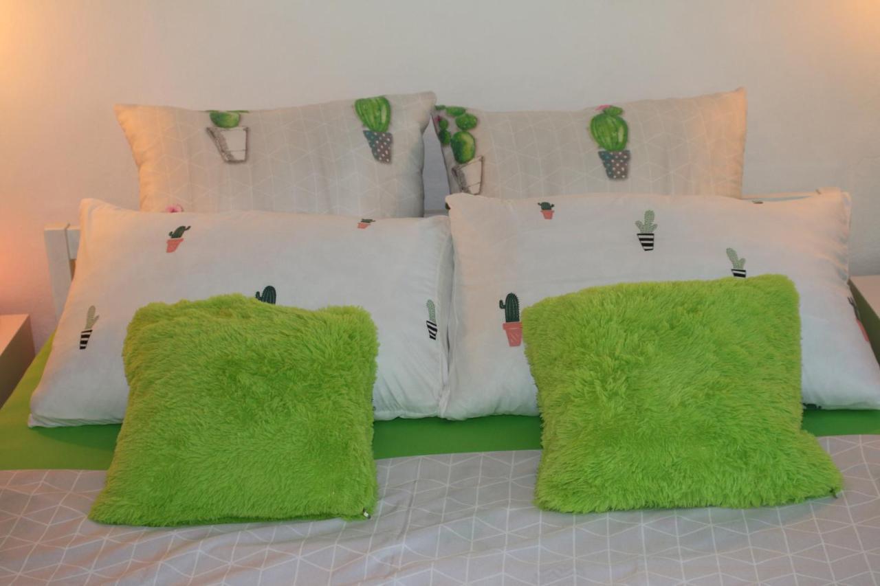 Green Cactus Rooms - Unique And Cozy House Senta Zewnętrze zdjęcie