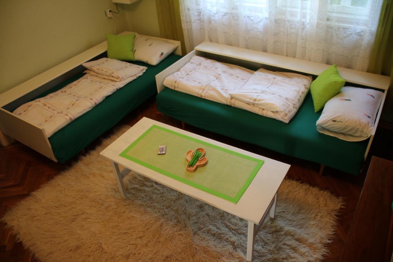 Green Cactus Rooms - Unique And Cozy House Senta Zewnętrze zdjęcie