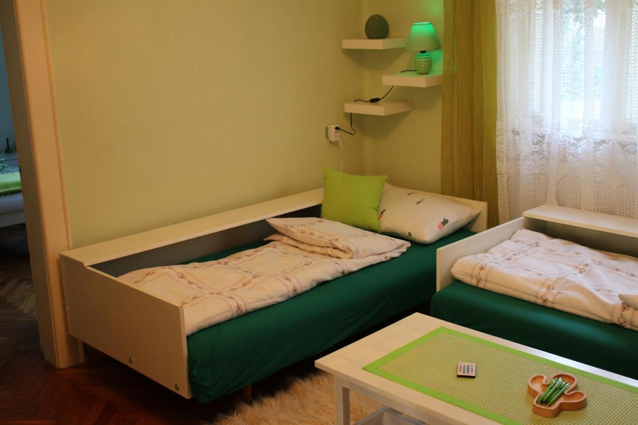 Green Cactus Rooms - Unique And Cozy House Senta Zewnętrze zdjęcie