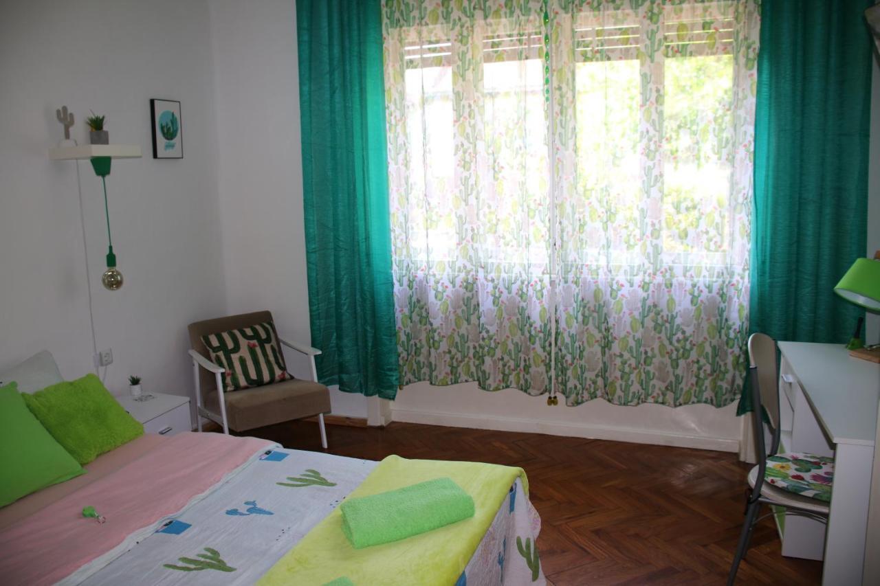 Green Cactus Rooms - Unique And Cozy House Senta Zewnętrze zdjęcie