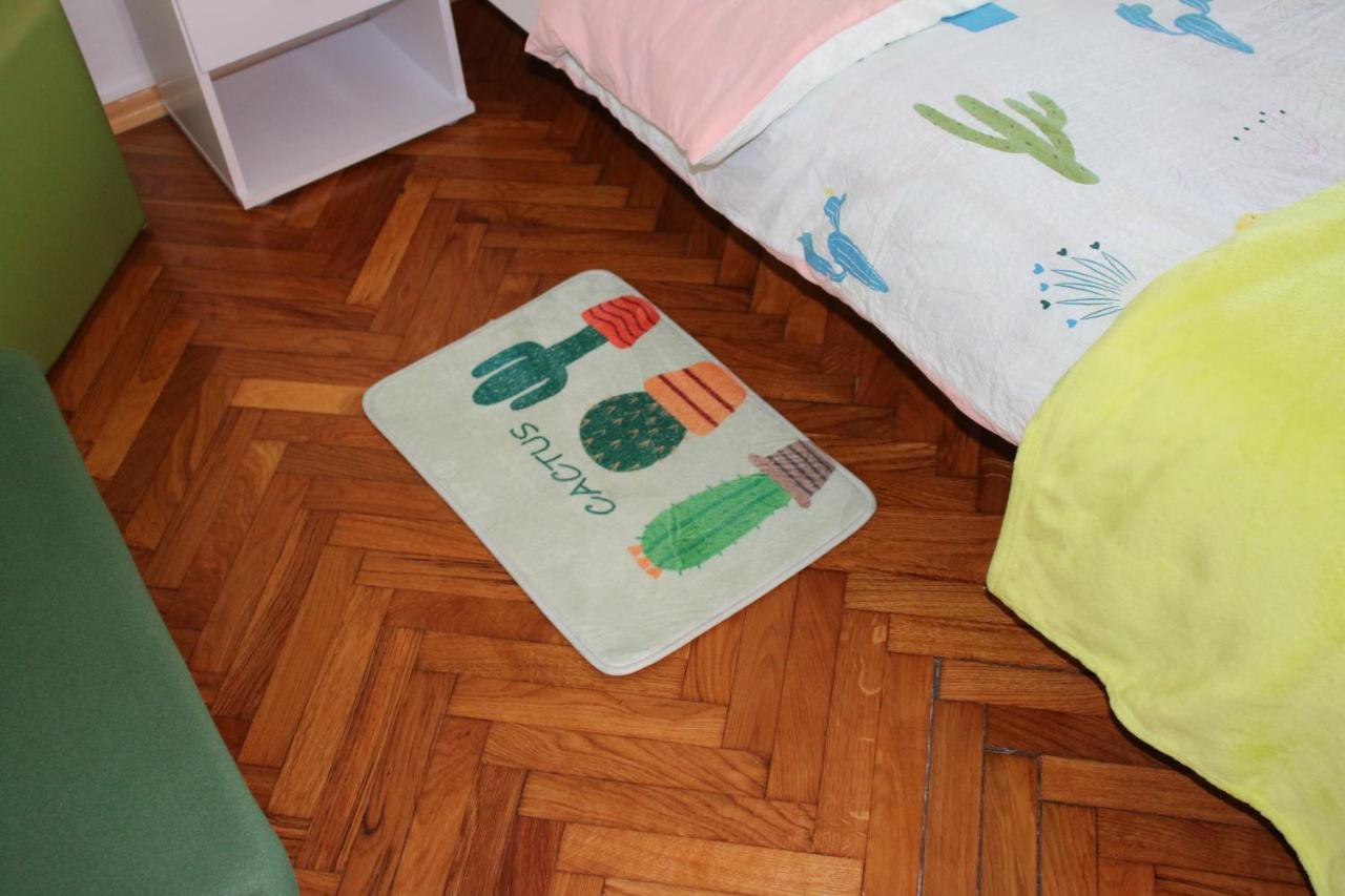 Green Cactus Rooms - Unique And Cozy House Senta Zewnętrze zdjęcie