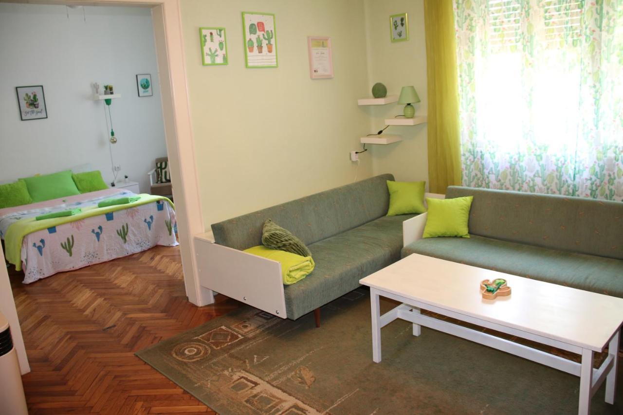 Green Cactus Rooms - Unique And Cozy House Senta Zewnętrze zdjęcie