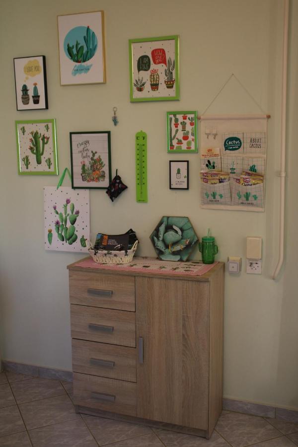 Green Cactus Rooms - Unique And Cozy House Senta Zewnętrze zdjęcie