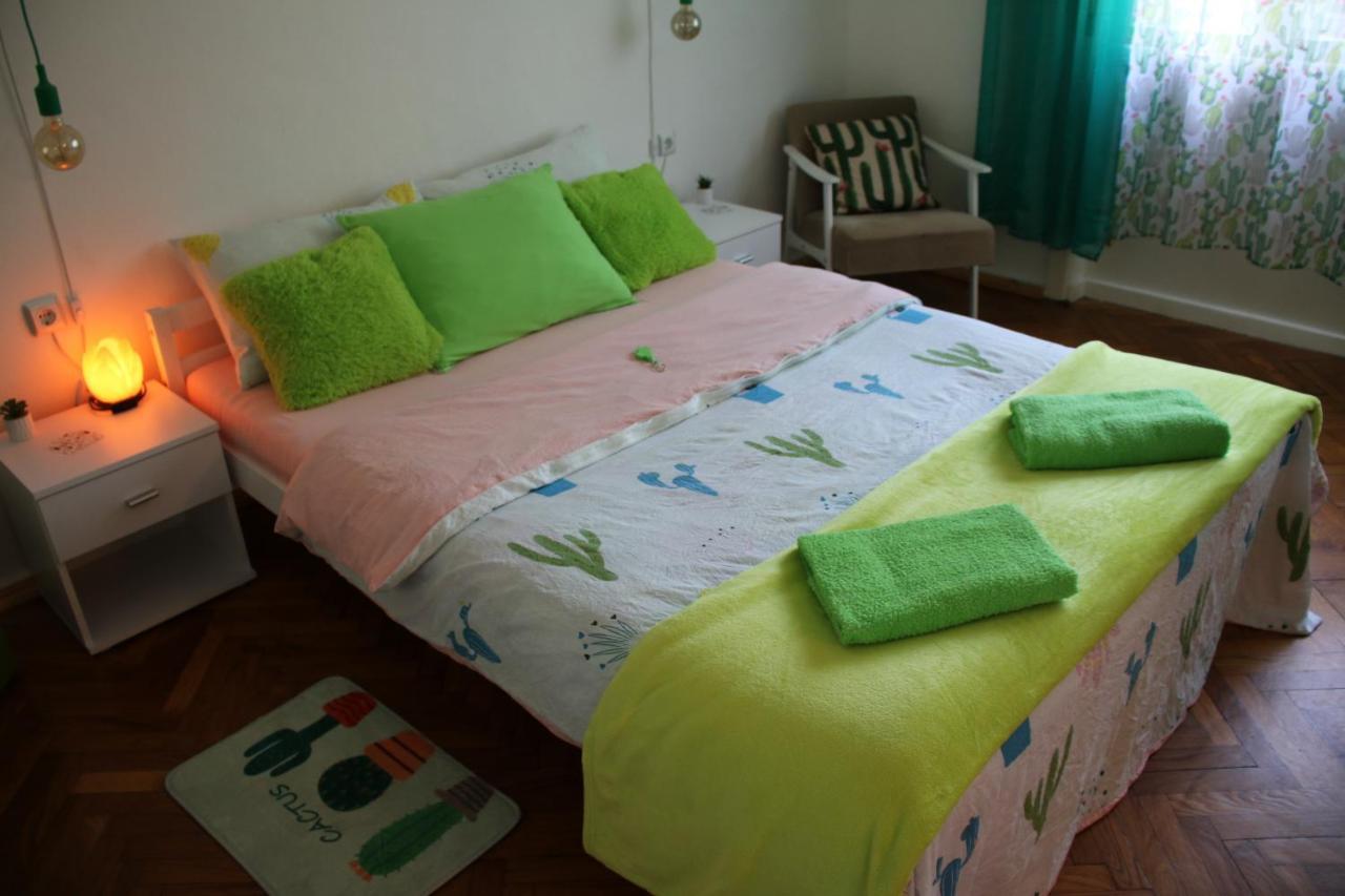 Green Cactus Rooms - Unique And Cozy House Senta Zewnętrze zdjęcie