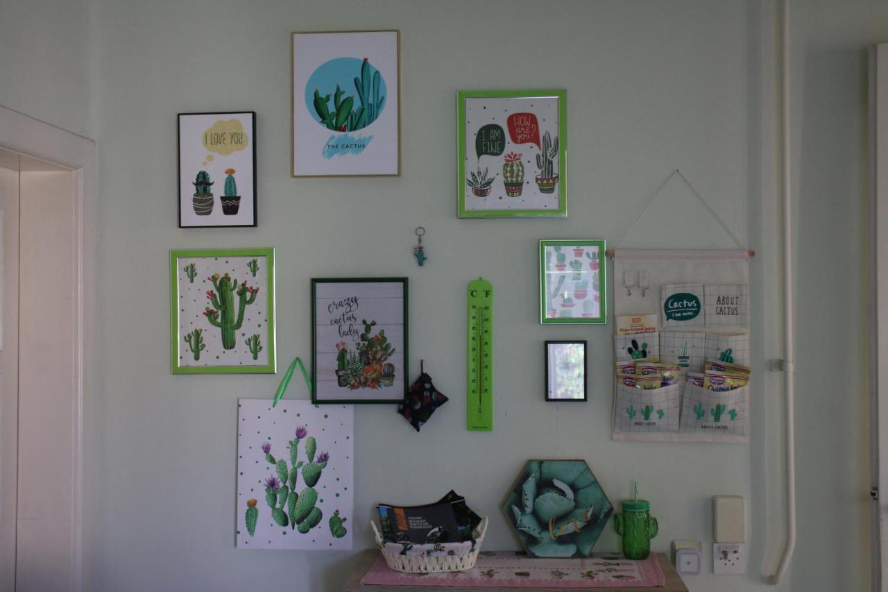 Green Cactus Rooms - Unique And Cozy House Senta Zewnętrze zdjęcie