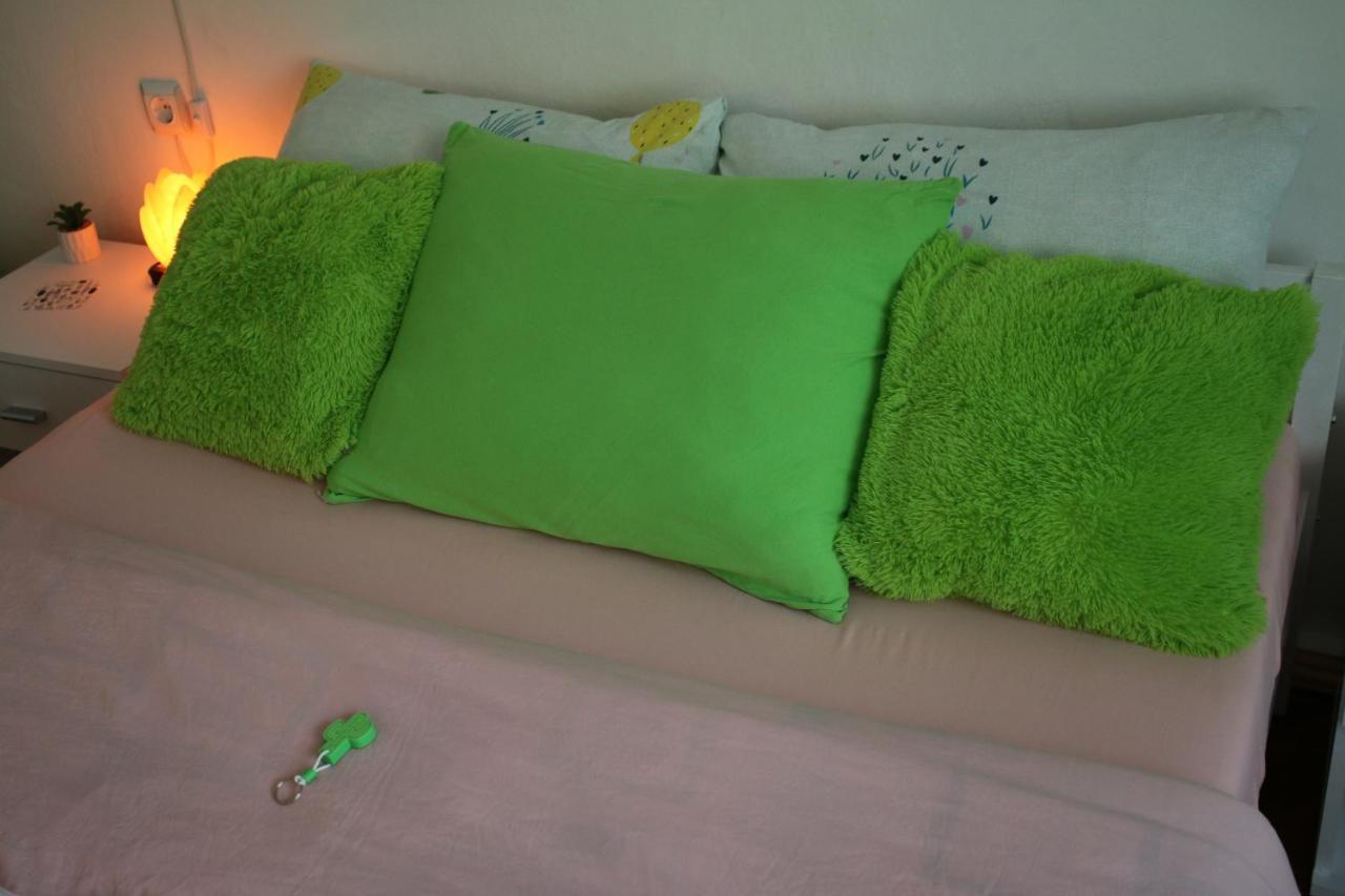 Green Cactus Rooms - Unique And Cozy House Senta Zewnętrze zdjęcie