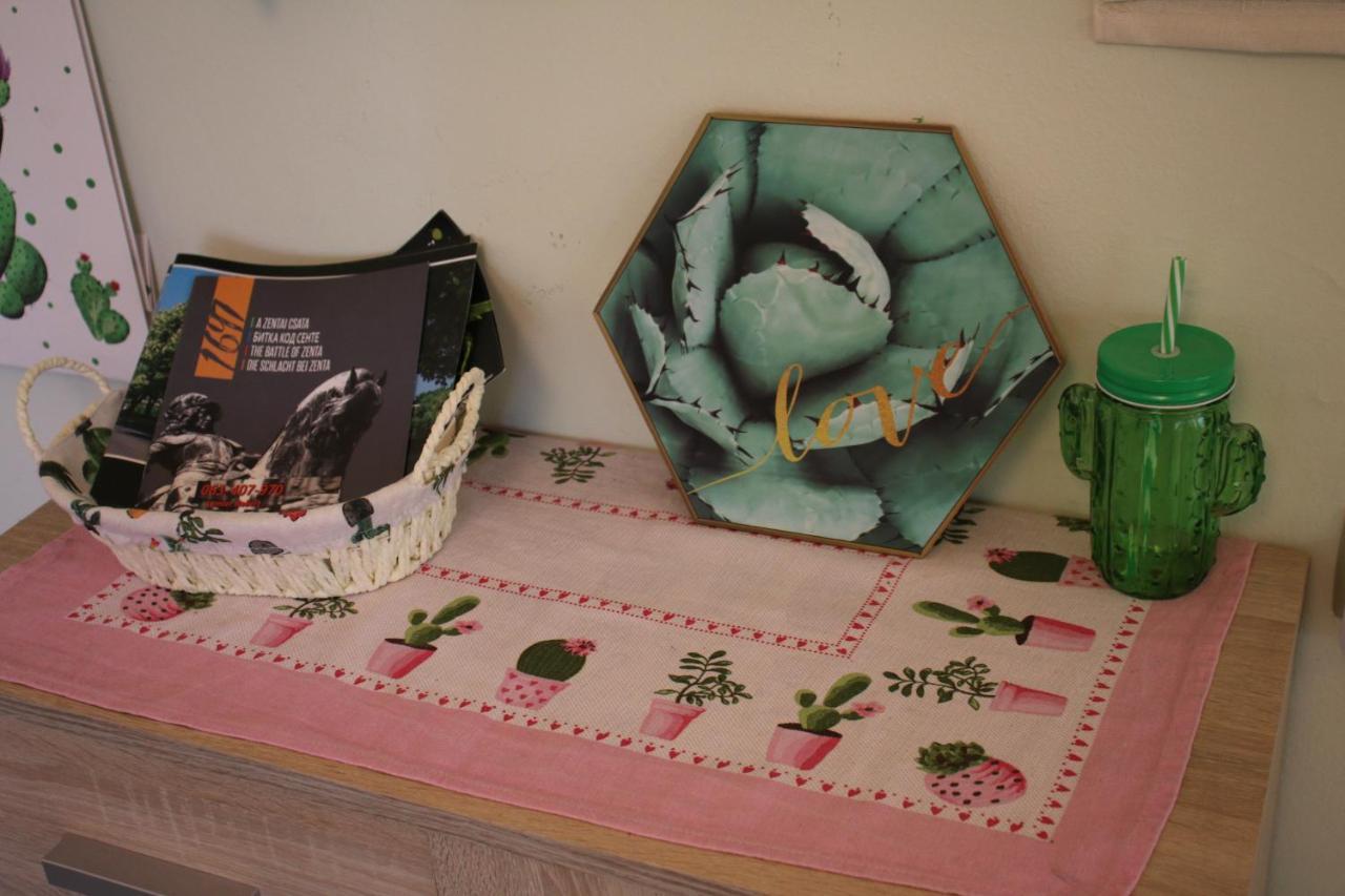 Green Cactus Rooms - Unique And Cozy House Senta Zewnętrze zdjęcie