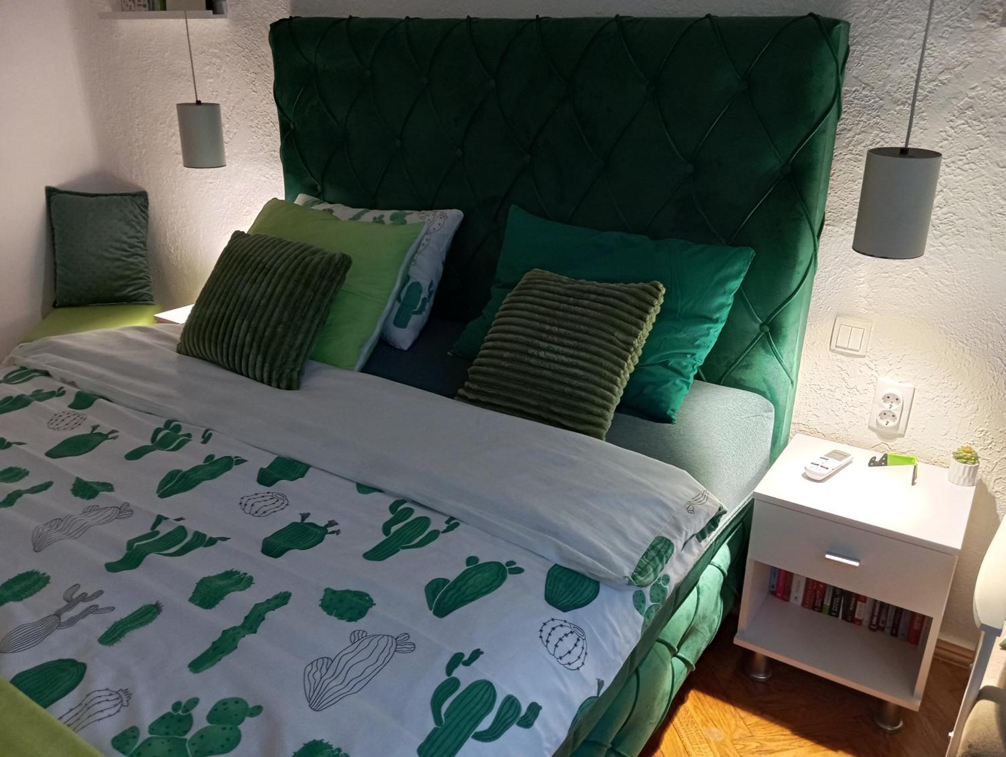 Green Cactus Rooms - Unique And Cozy House Senta Zewnętrze zdjęcie