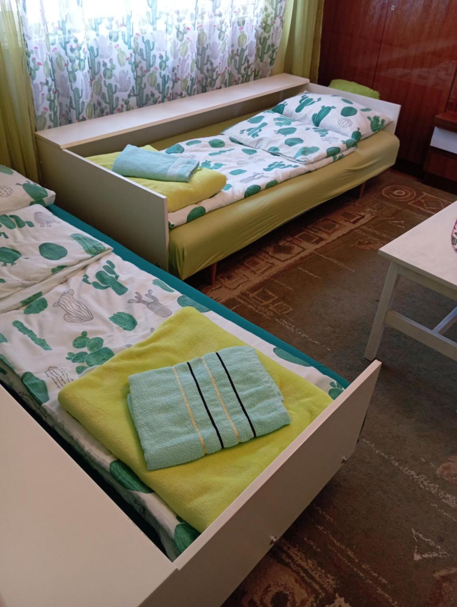 Green Cactus Rooms - Unique And Cozy House Senta Zewnętrze zdjęcie