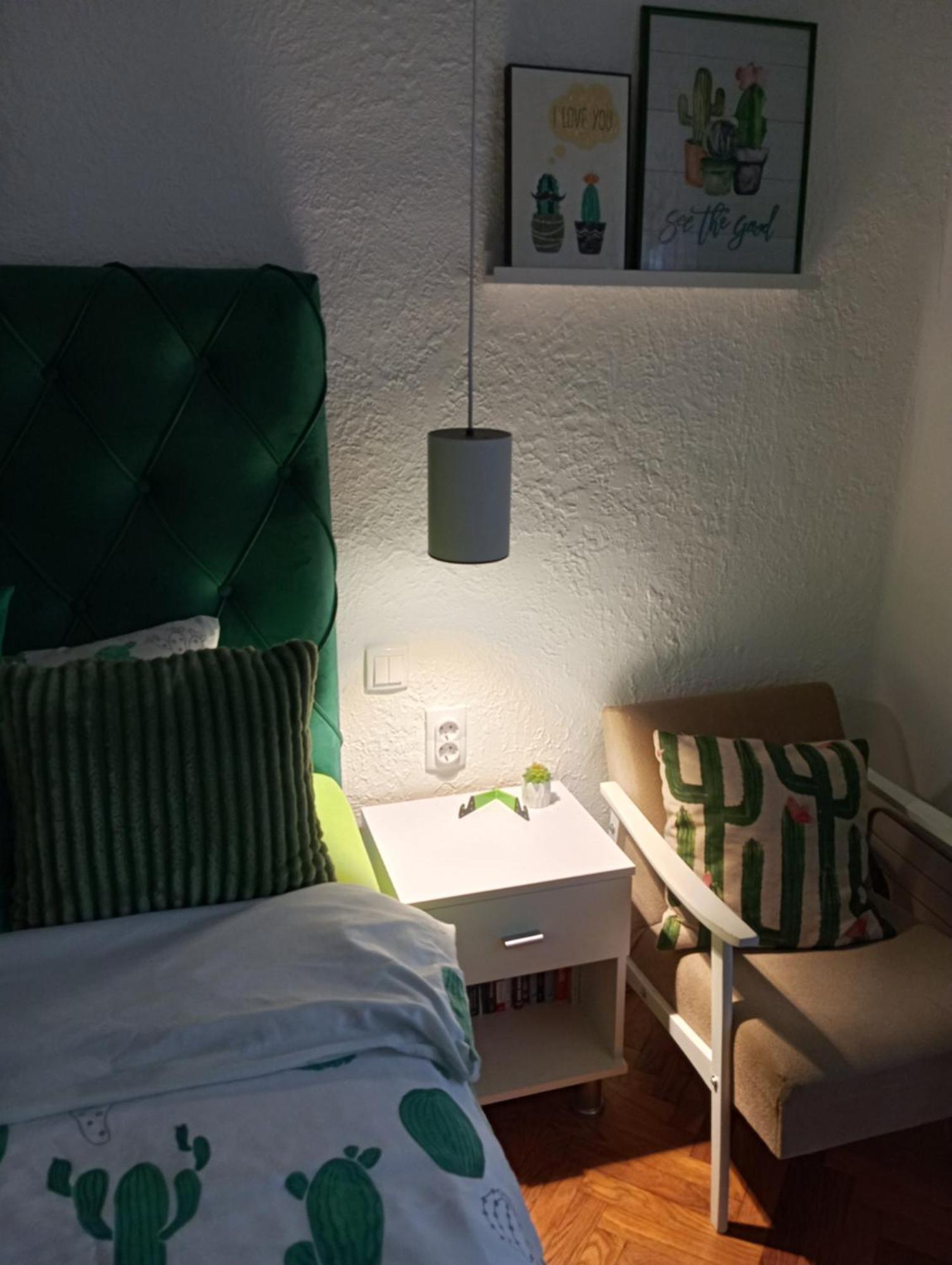 Green Cactus Rooms - Unique And Cozy House Senta Zewnętrze zdjęcie