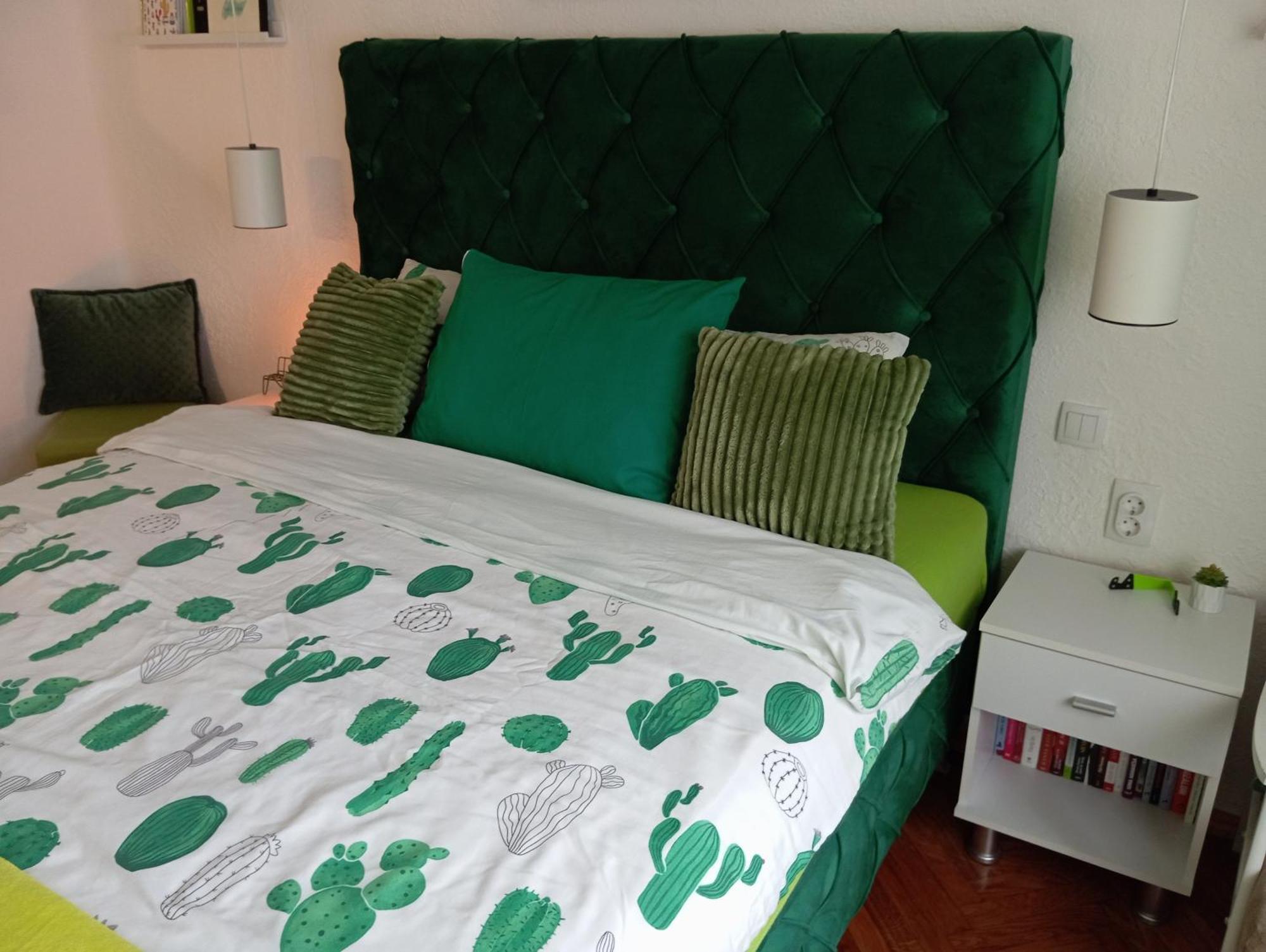 Green Cactus Rooms - Unique And Cozy House Senta Zewnętrze zdjęcie