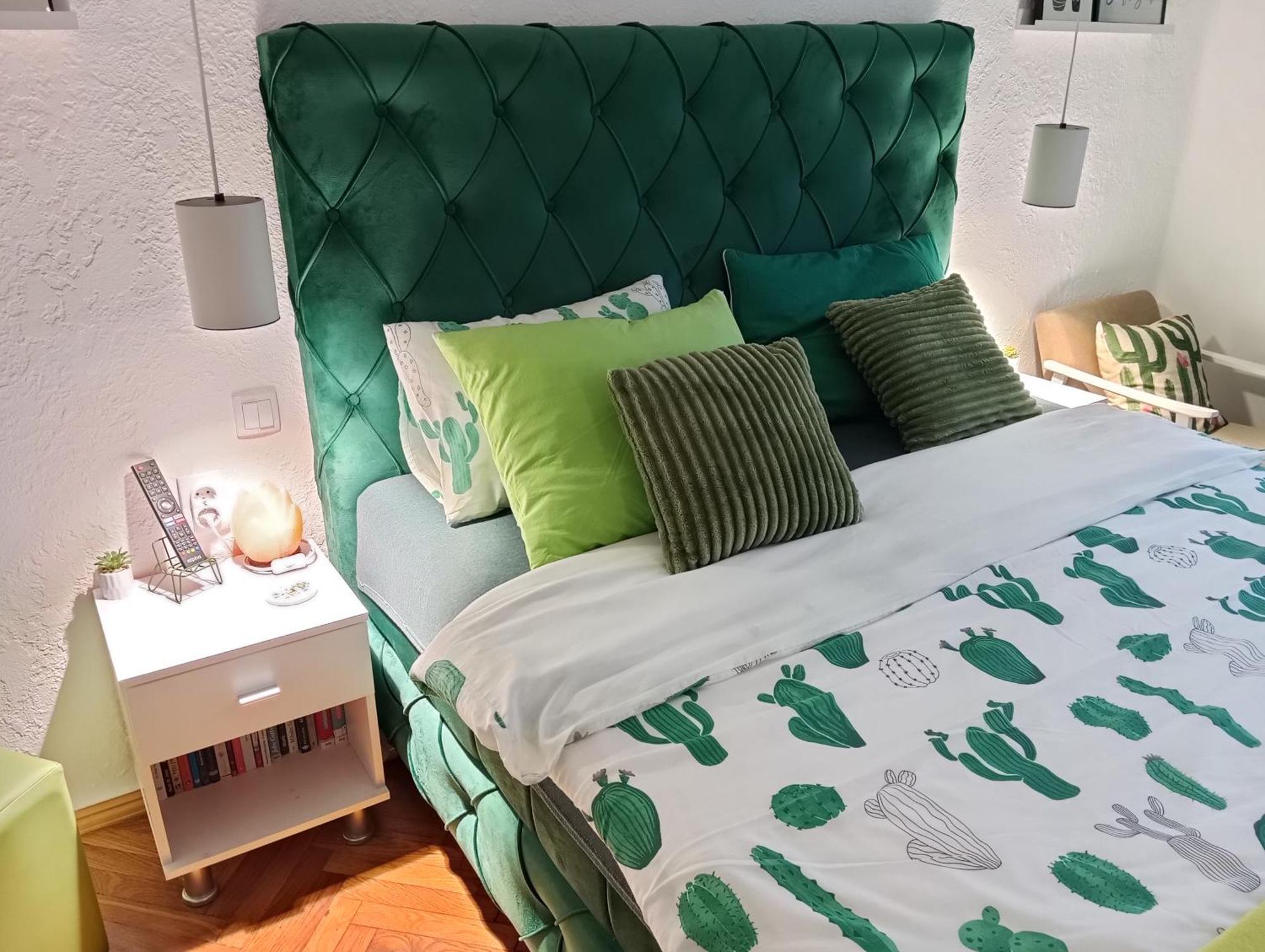 Green Cactus Rooms - Unique And Cozy House Senta Zewnętrze zdjęcie